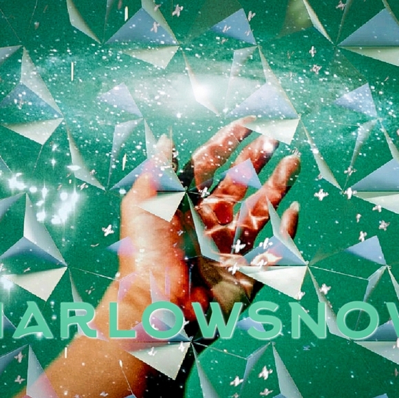 Meet your Posher, Harlow - Picture 2 of 3